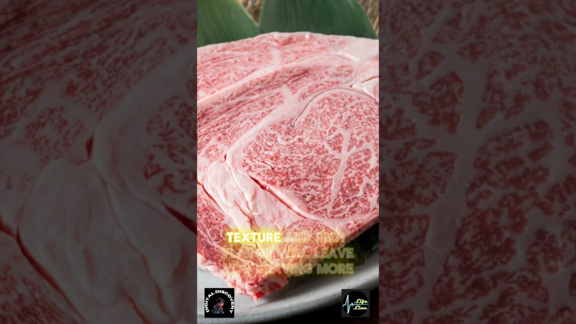 Discover Kobe: A Perfect Blend of Nature and Urban Charm #traveldestination #traveljapan Discover Kobe: A Perfect Blend of Nature and Urban Charm #traveldestination #traveljapan