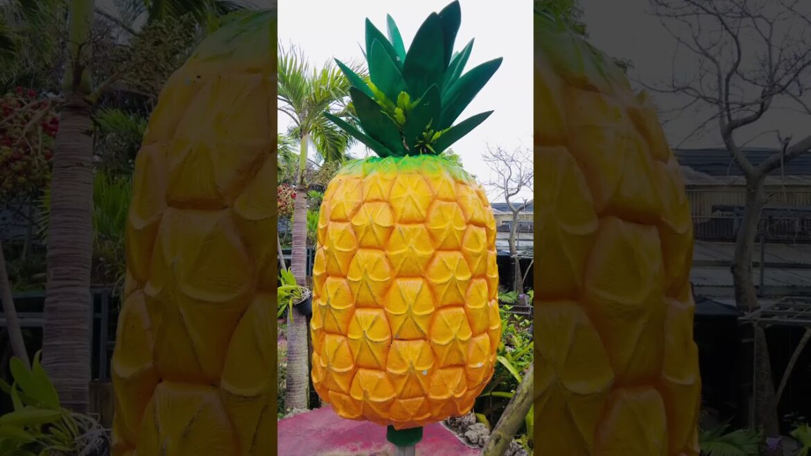 【沖縄旅行】美ら海水族館/古宇利島/名護パイナップルパーク/首里城公園/国際通り/シーサー