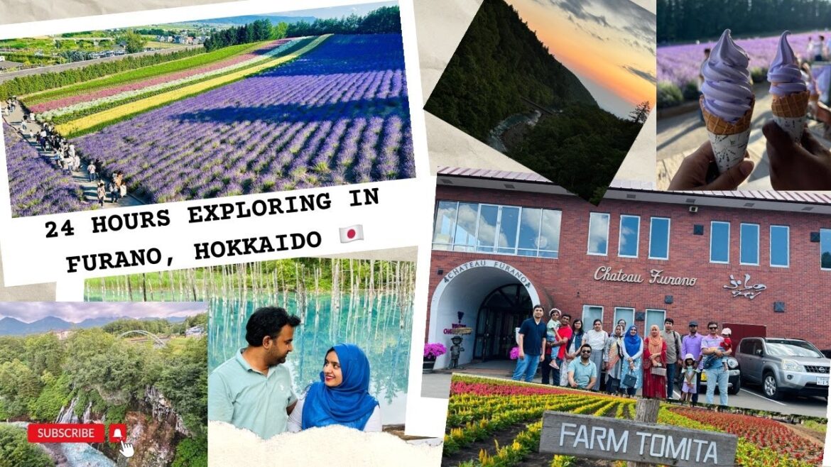 Summer in Furano & Biei, Hokkaido: Winery, Cheese, Flowers, and More!