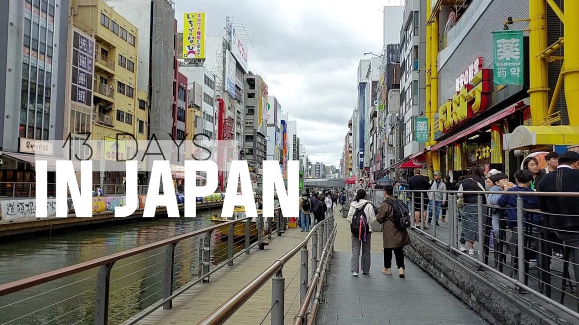 13 DAYS TRAVEL IN JAPAN | Part 01 13 DAYS TRAVEL IN JAPAN | Part 01