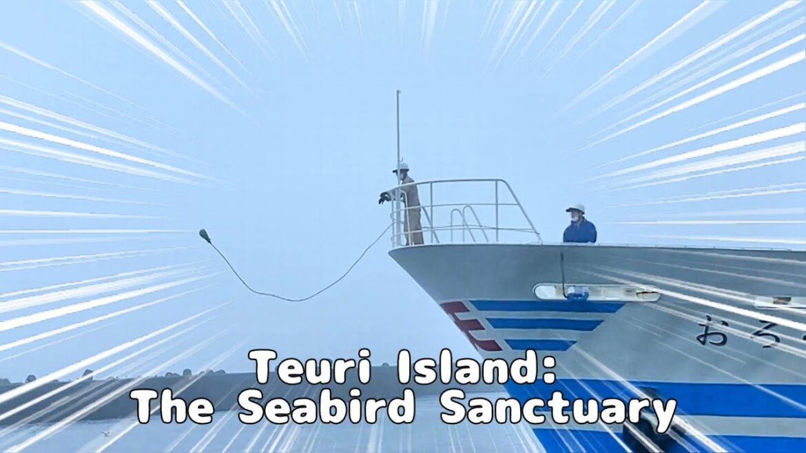 Journey to Teuri Island: Remote Paradise with Traditional Japanese Cuisine and Seabirds Journey to Teuri Island: Remote Paradise with Traditional Japanese Cuisine and Seabirds