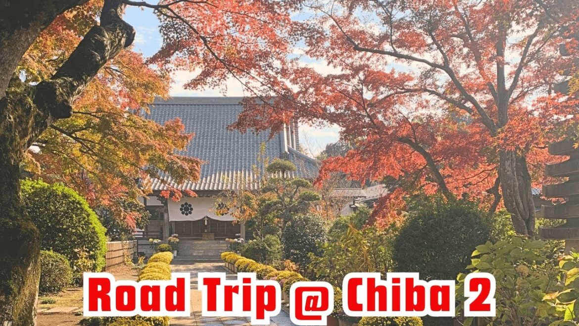 Japan Trip 2023 Part 14 - Road Trip @ Chiba 2