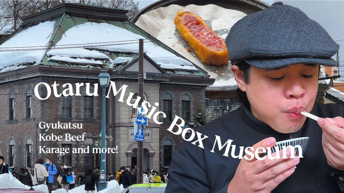 Hokkaido Vlog: Otaru Canal, Otaru Music Box Museum, Sakaimachi Street • E14 | Japan Silent Vlog