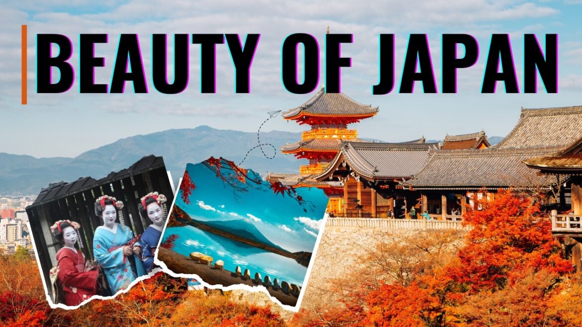 beauty of japan / japan nature