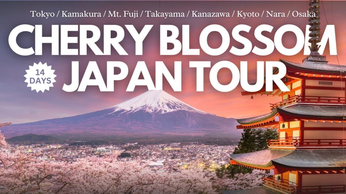 Japan in Bloom: 14-Day Cherry Blossom Itinerary 🌸 | Top Hanami Spots!