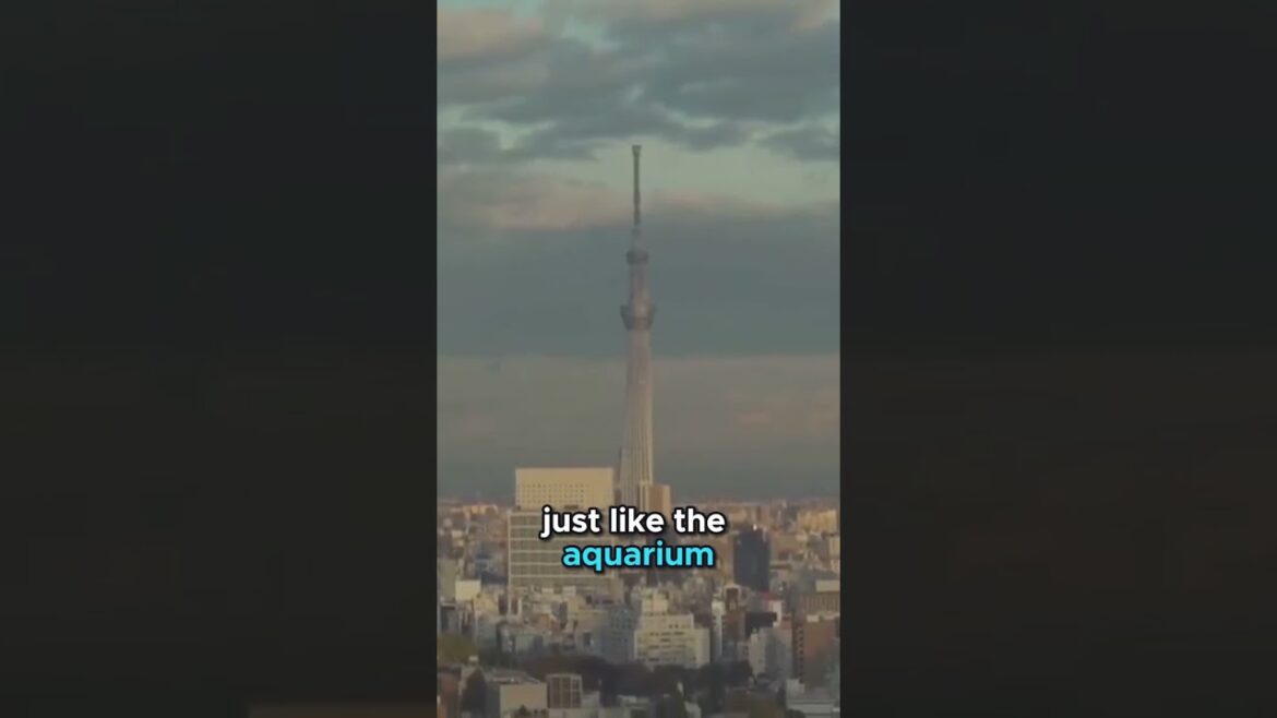 #4 Kyoto City Zoo a Wild Adventure!! #kyotocity #visitjapan #japanesecity #4 Kyoto City Zoo a Wild Adventure!! #kyotocity #visitjapan #japanesecity