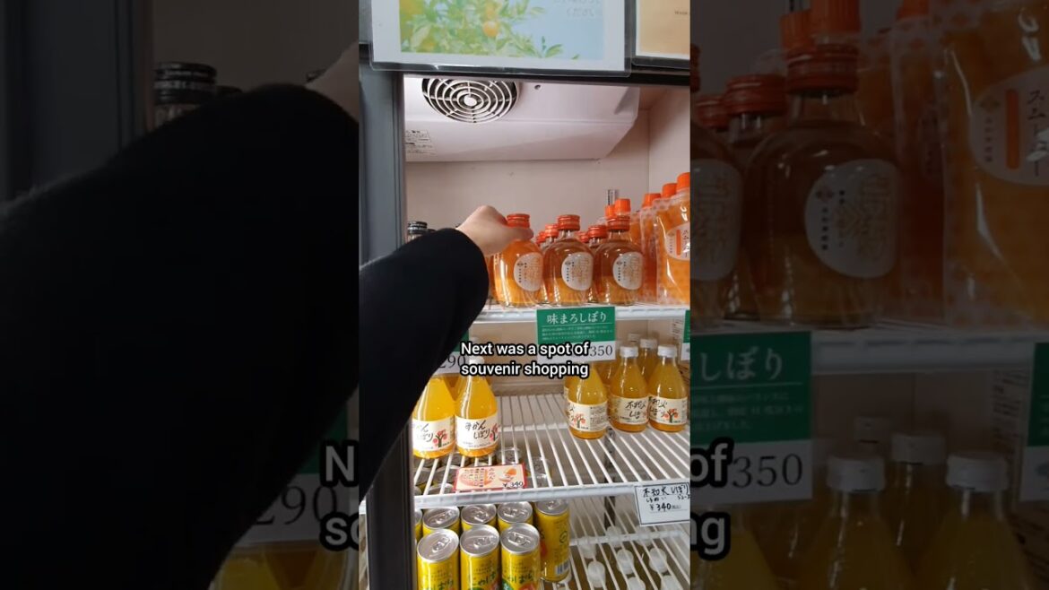 we travelled 1 hour from Osaka to eat at one of Japan’s most famous ramen places | Wakayama, Japan we travelled 1 hour from Osaka to eat at one of Japan's most famous ramen places | Wakayama, Japan