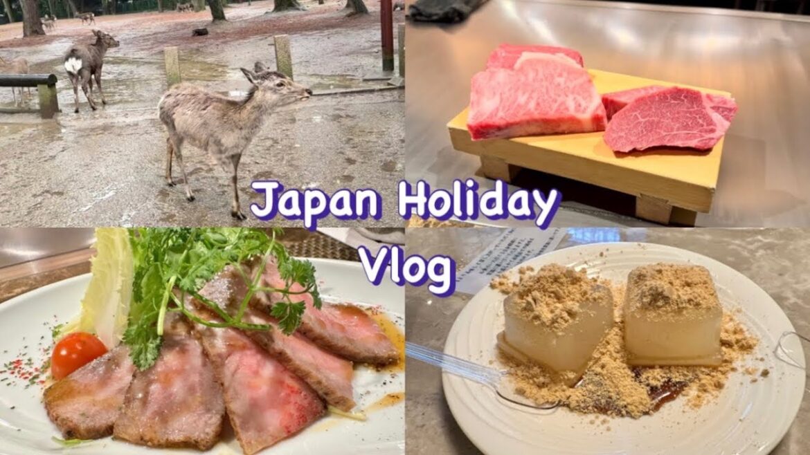 Ep16. Fun day trip to Nara | Kobe Beef Teppanyaki • Osaka Shopping • Matcha mochi