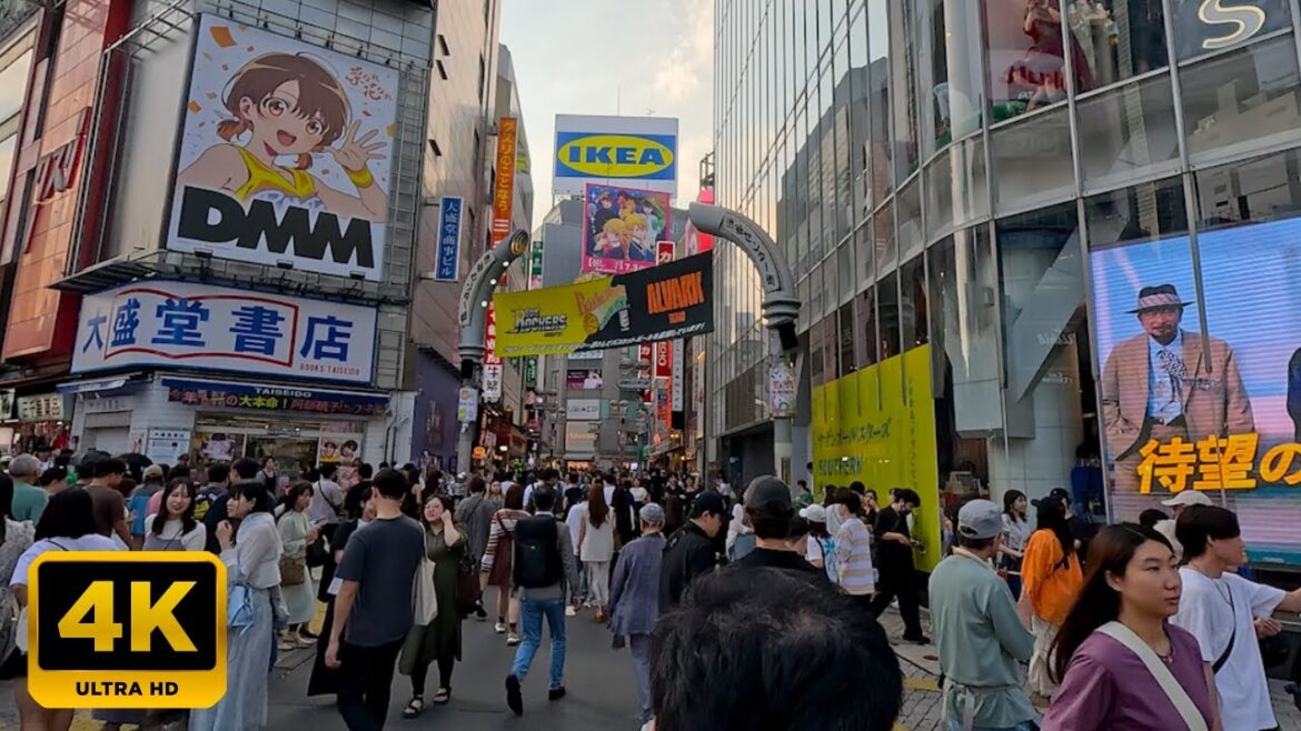 Walking Tour on a Summer Day in Shibuya Tokyo Japan #japan #walking #tokyo #shibuyacrossing Walking Tour on a Summer Day in Shibuya Tokyo Japan #japan #walking #tokyo #shibuyacrossing