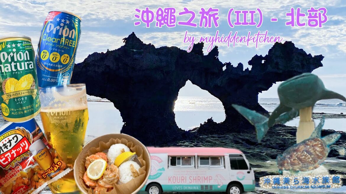🇯🇵沖繩之旅(III) －北部 | 🚘自駕遊｜Trip to Okinawa- Part 3
