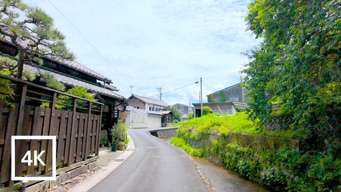 Japan 4K Walking Tour - Toki Japan street tour [4K/60fps]