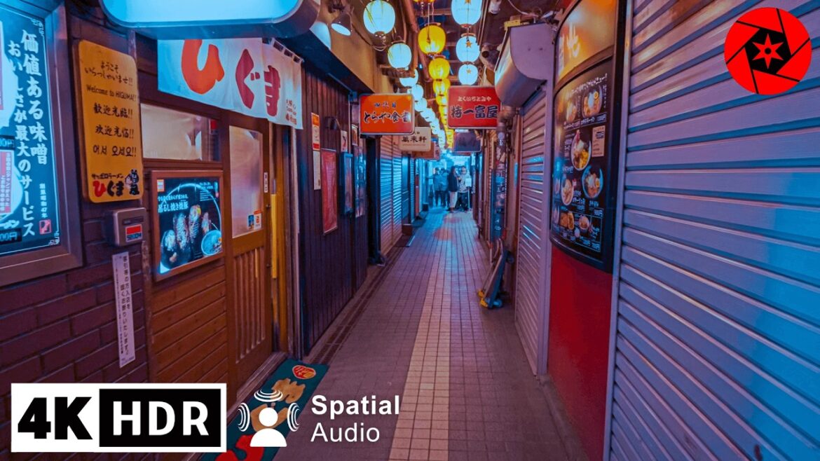 Wandering Hokkaido’s famous red light District on a cold winter’s night – 4K HDR Wandering Hokkaido's famous red light District on a cold winter's night - 4K HDR