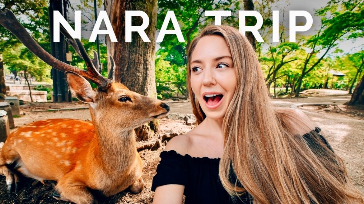 24 Hours in NARA Japan 🇯🇵  What to see, do & eat!