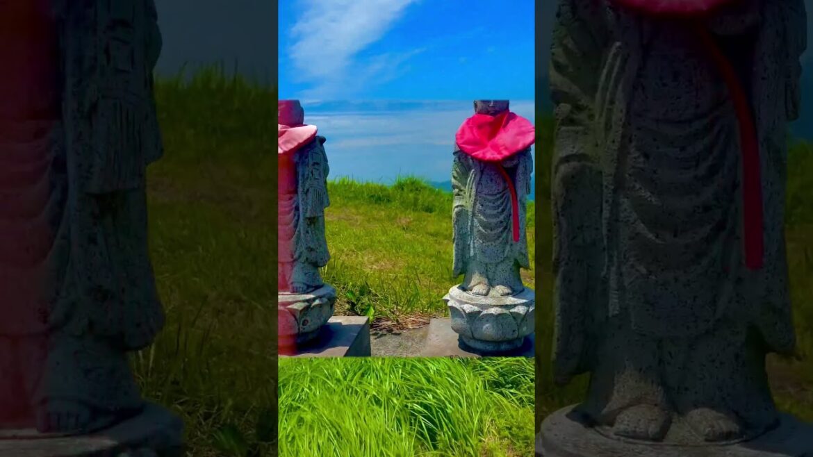 Ascending Mount Omuro: Breathtaking Views and Fresh Breezes in Fuji-Hakone-Izu National Park!