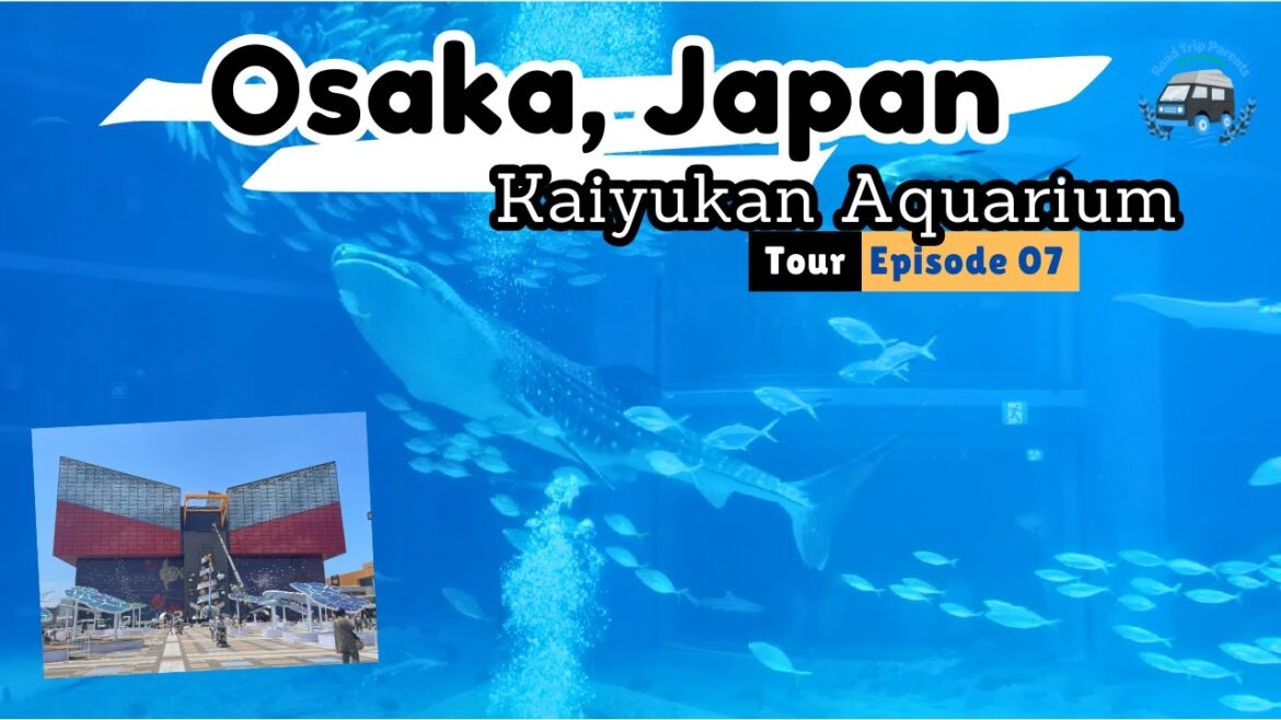 Tour of Kaiyukan Aquarium Osaka Japan in 1 Minute!
