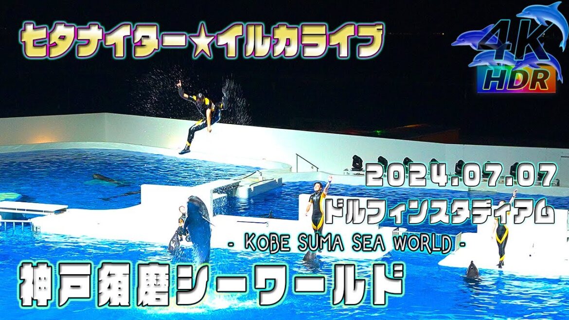 【4K HDR】七夕の夜に舞う！NEWイルカライブ - 神戸須磨シーワールド ドルフィンスタディアム - KOBE SUMA SEA WORLD - スマシー VLOG 07