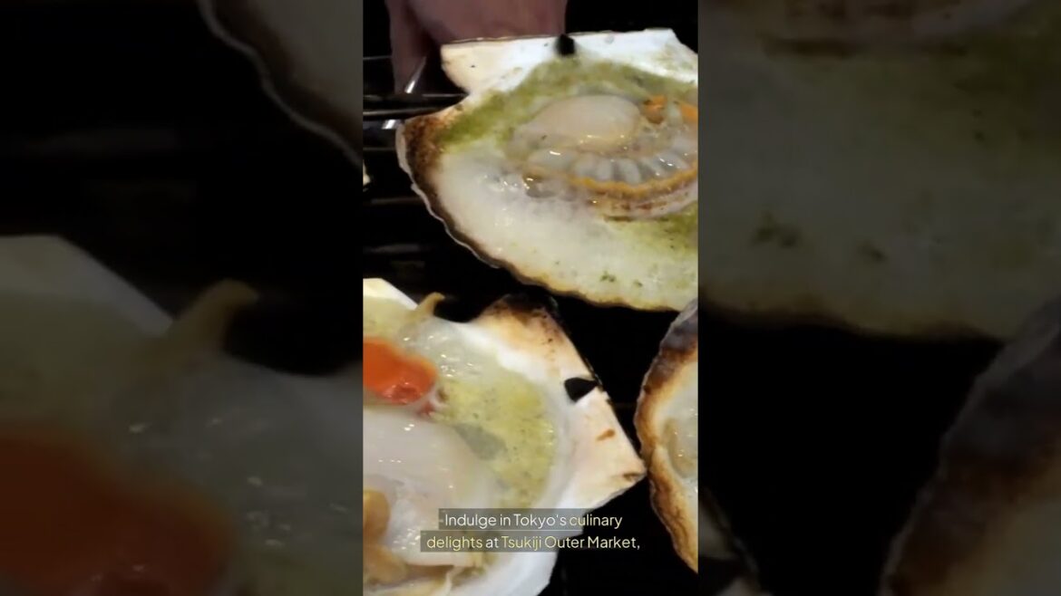 Best City to Visit?  Tokyo Japan #travel #traveling #vacation