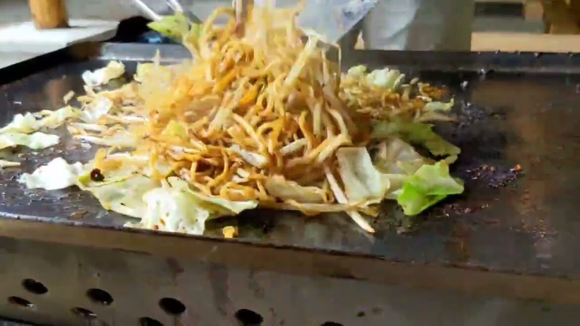 Барбекю возле горы Фуджи в Японии / BBQ Party near Mt.Fuji, Japan