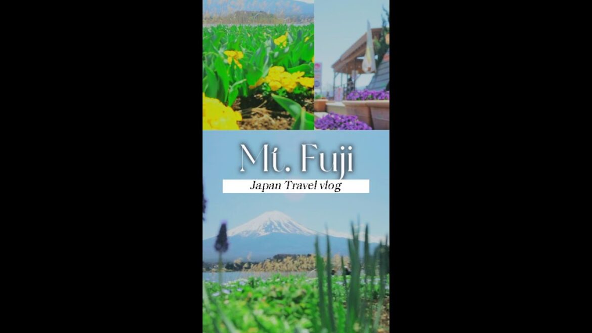 Mt Fuji Viewing Spot | Oishi Park, Yamanashi, Japan | Japan Travel