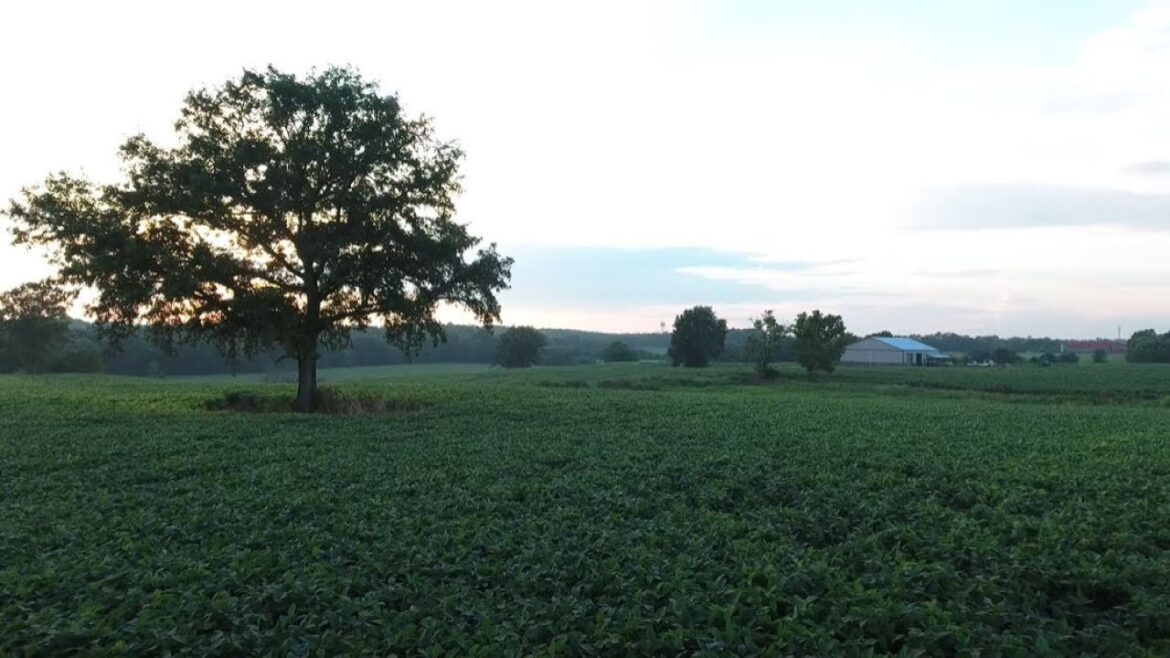 We will be here when you're ready