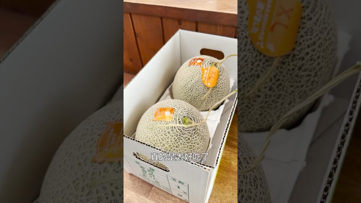 北海道自由行 Day 2 #youtubeshorts #life #旅行 #hokkaido #food #travel #japan 北海道自由行 Day 2 #youtubeshorts #life #旅行 #hokkaido #food #travel #japan