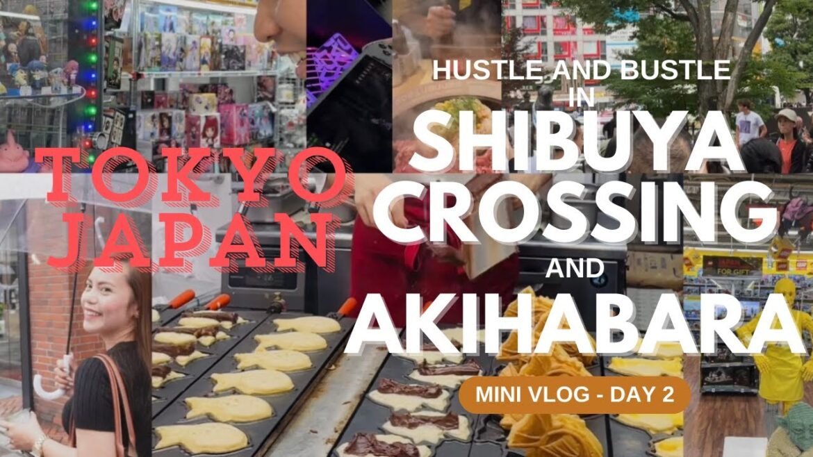 Exploring Tokyo | Day 2 | Shibuya Crossing | Hachiko | Akihabara Walk | Omotesando | Japan Vlog Exploring Tokyo | Day 2 | Shibuya Crossing | Hachiko | Akihabara Walk | Omotesando | Japan Vlog