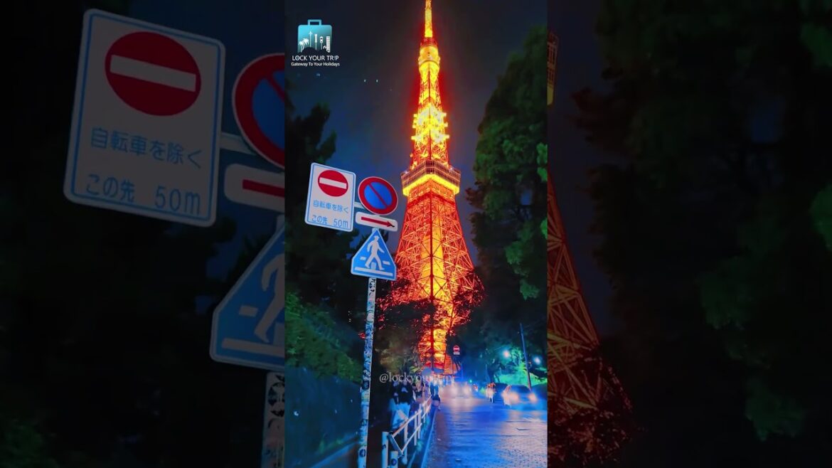 Top 4 Attractions in Tokyo 😍✨🙌