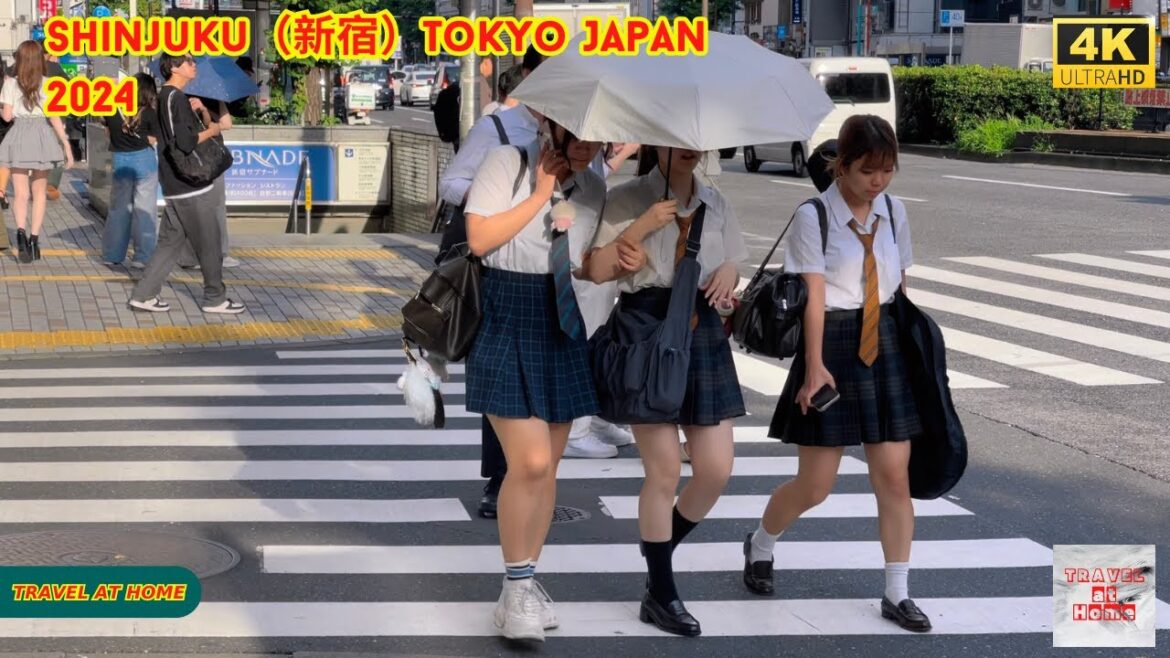 4k hdr japan travel 2024 | Walk in Shinjuku(新宿)Tokyo Japan | Relaxing Natural City ambience 4k hdr japan travel 2024 | Walk in Shinjuku(新宿)Tokyo Japan | Relaxing Natural City ambience