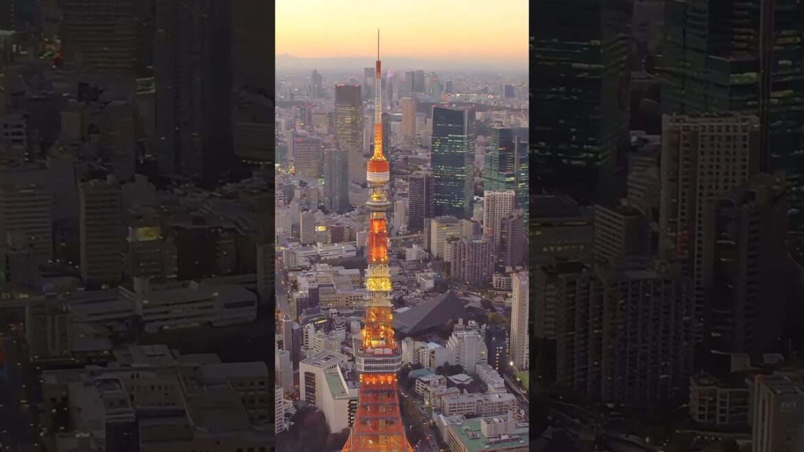 Top travel destinations 2024! #travel #travel2024 #shorts #tokyo #shortvideo