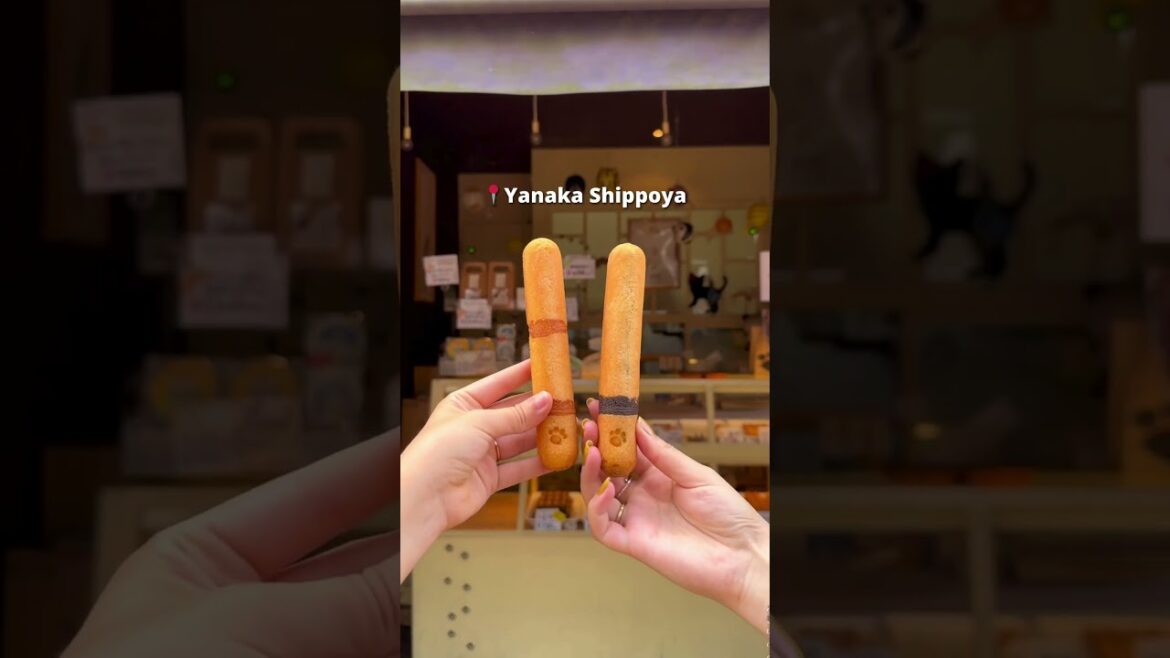 Street Food in Yanaka Ginza – Tokyo Street Food in Yanaka Ginza - Tokyo
