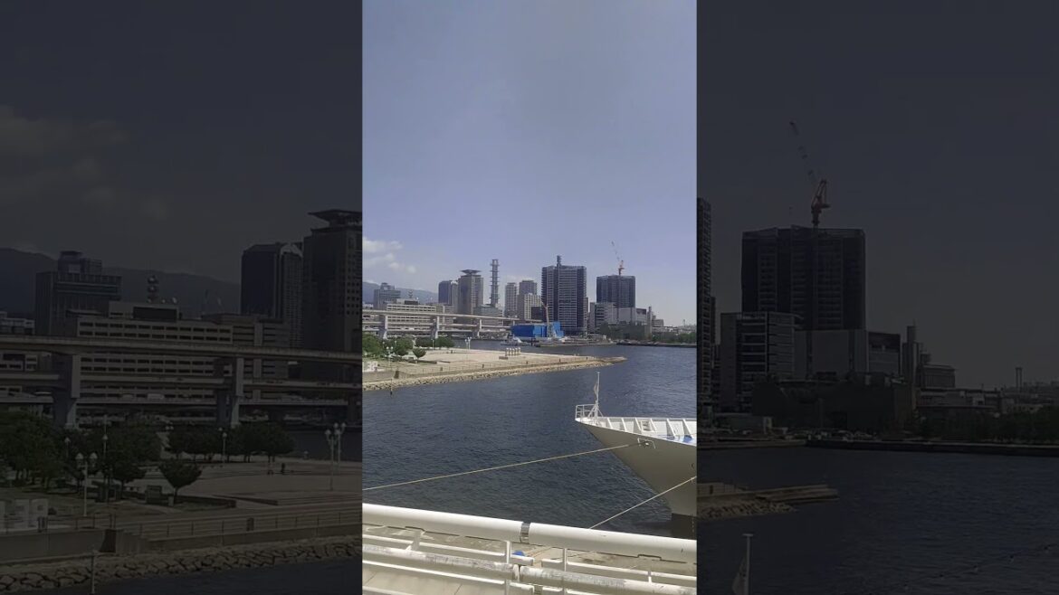 2024年7月23日 #shorts