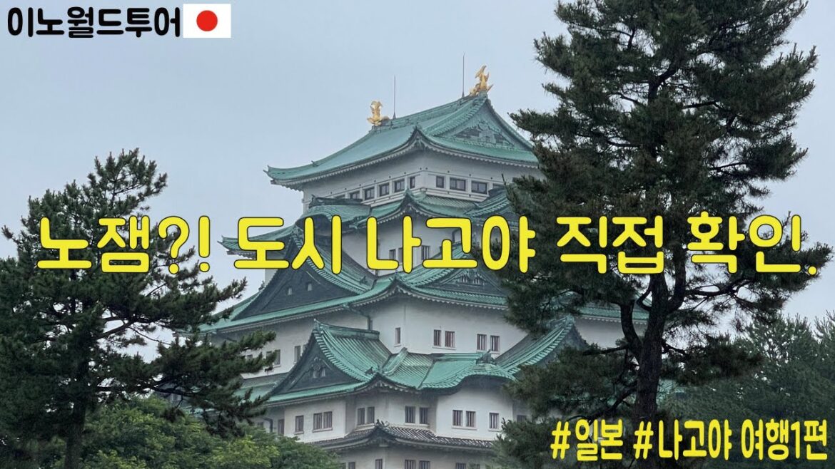 일본 나고야 여행 정말 노잼도시? 직장인 주말 2박3일 후기 일본 나고야 여행 정말 노잼도시? 직장인 주말 2박3일 후기