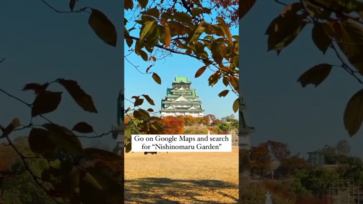 How to get amazing photos of Osaka Castle without the crowds #secretlocation #japantravel #osaka