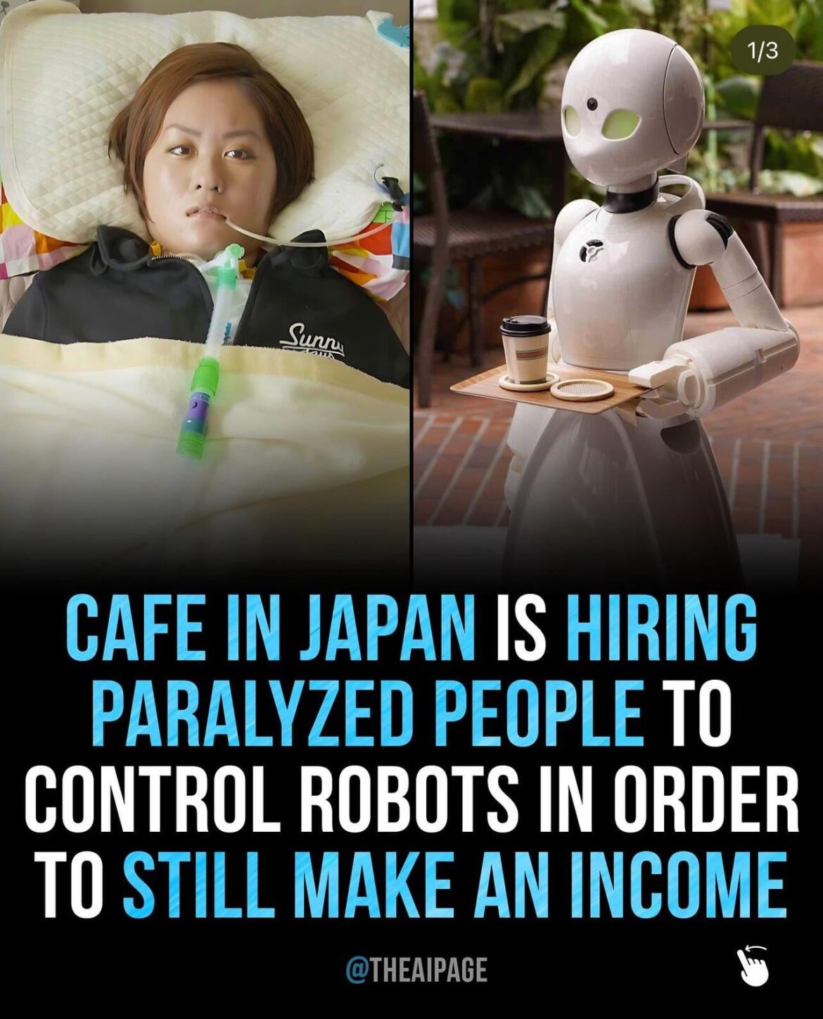 Weirdest capitalism approved