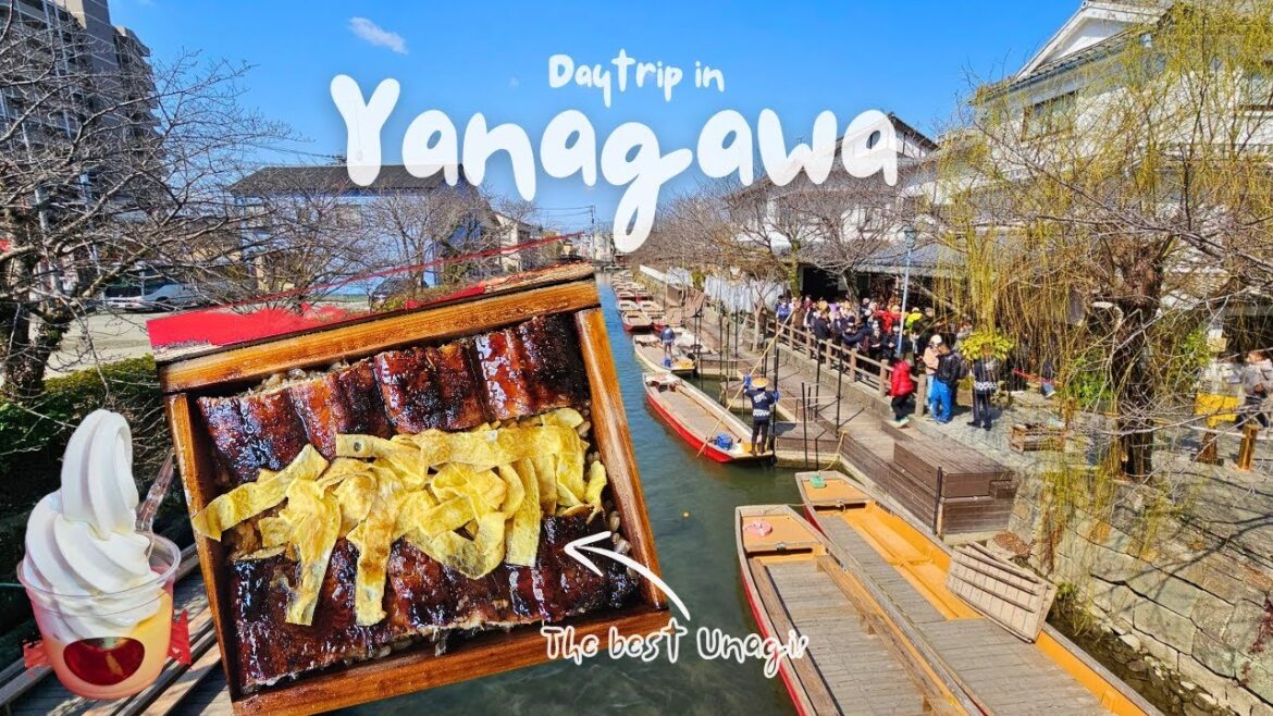 Yanagawa Punting Tour + 300 Year UNAGI Restaurant | Fukuoka, Japan