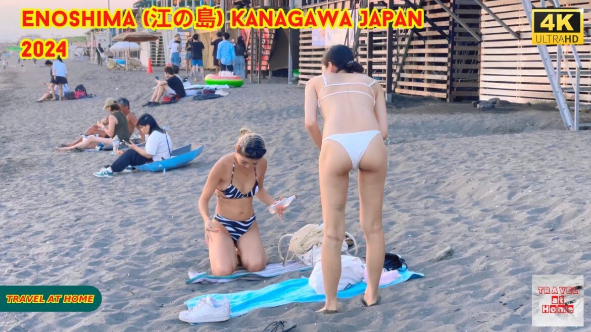 4k hdr japan travel 2024 | Sunset Walk in Enoshima (江の島) Kanagawa japan | Relaxing Natural ambience 4k hdr japan travel 2024 | Sunset Walk in Enoshima (江の島) Kanagawa japan | Relaxing Natural ambience