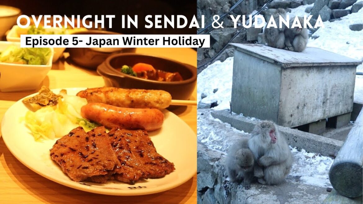 Overnight in Sendai & Snow Monkeys Soaking in Hot Spring – Episode 5 Japan Winter Holiday Overnight in Sendai & Snow Monkeys Soaking in Hot Spring - Episode 5 Japan Winter Holiday