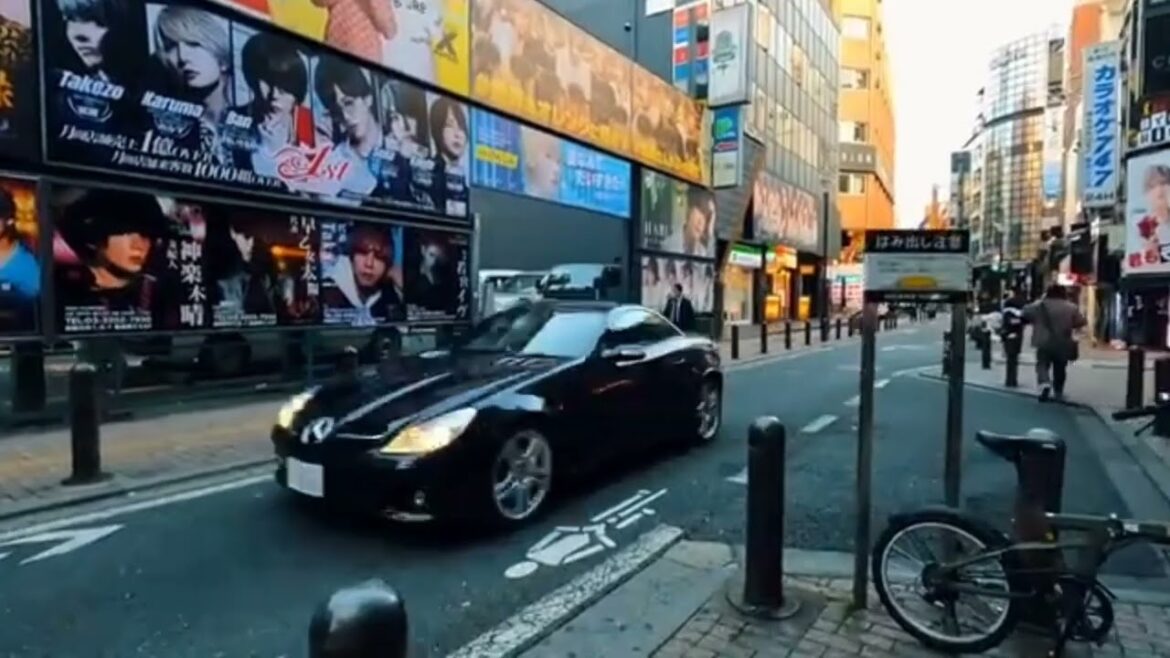 "Tokyo Walking Vlog 2024: A Walking Tour of Japan's Dynamic City"