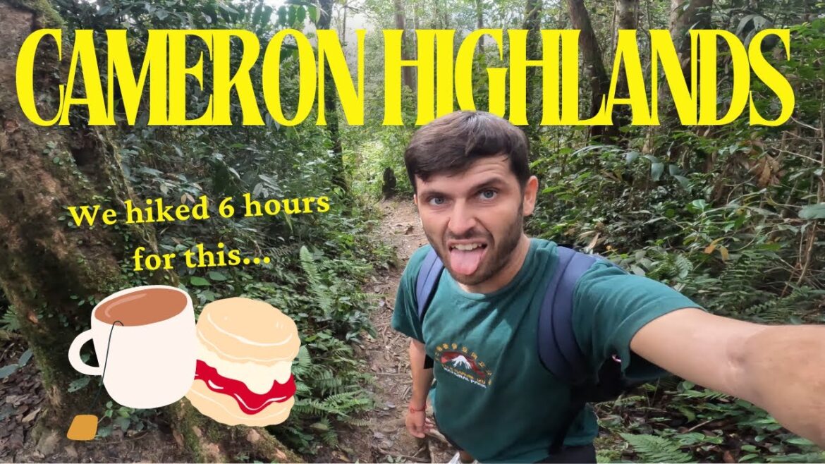 The BEST Place to Hike in MALAYSIA π²πΎ The BEST Place to Hike in MALAYSIA π²πΎ