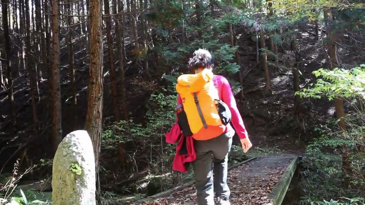 MT Sobek Presents | Japan Kyoto to Tokyo Walking Tour