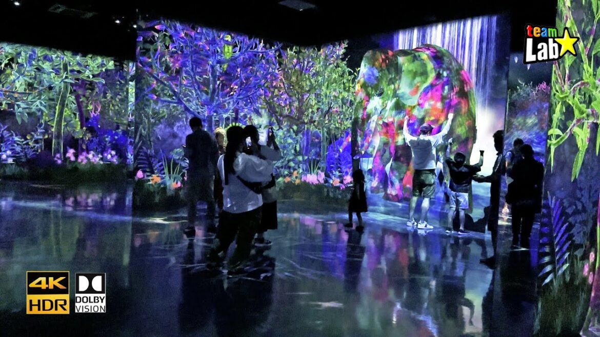 JAPAN TRAVEL | teamLab Forest Fukuoka | 4K HDR