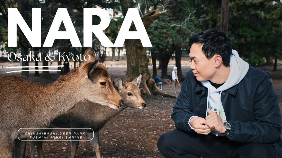 We Went Bambi Spotting at Nara Park! 🦌 | Osaka, Nara & Kyoto Vlog 🇯🇵