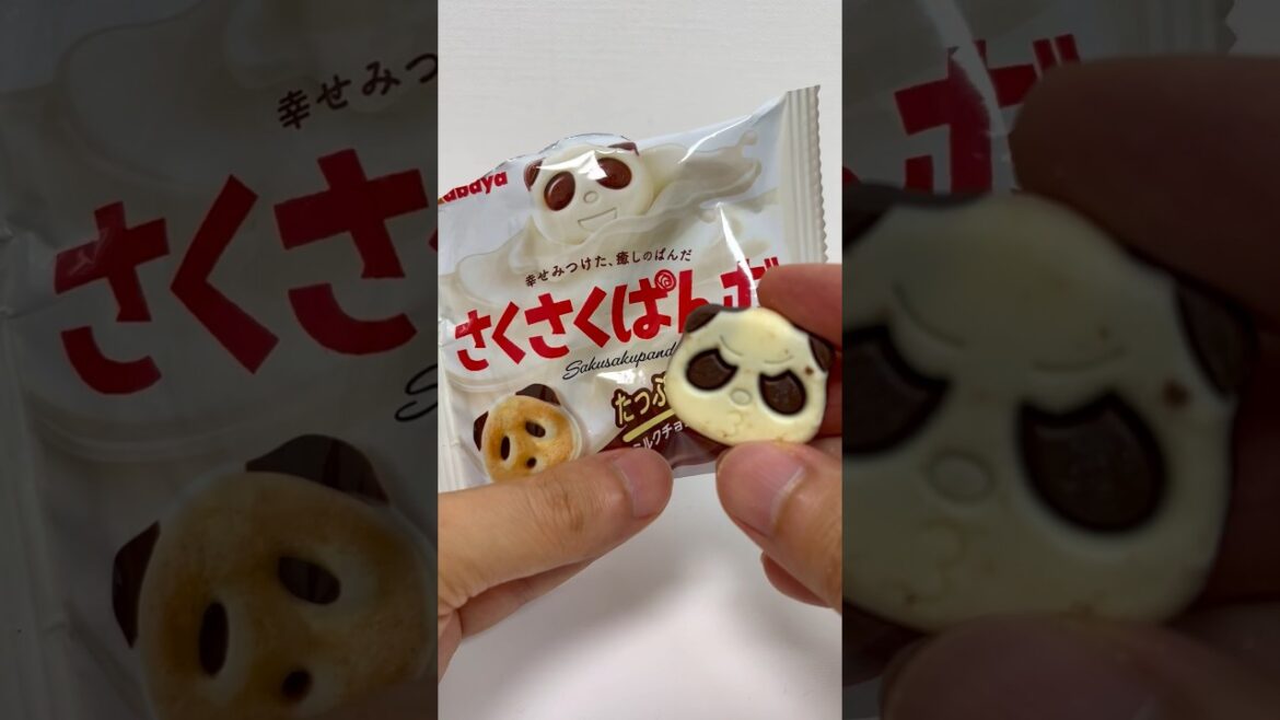 Saku Saku Panda Crunchy Chocolate Bisquit #shorts