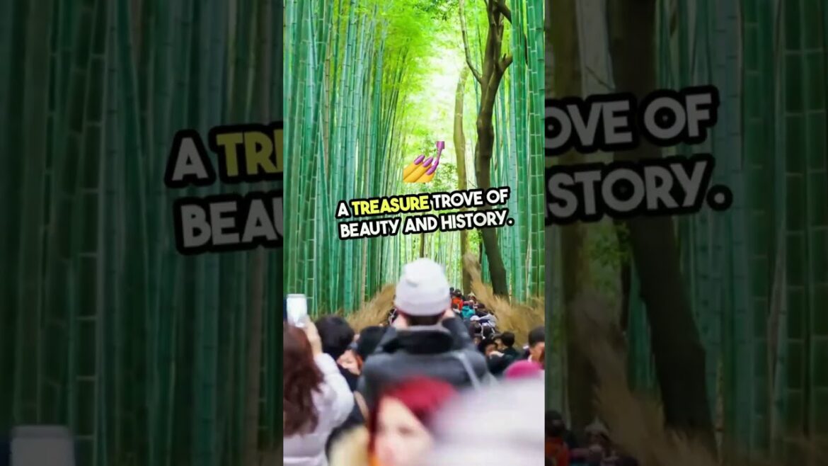 Discover the Top Kyoto Destinations! #topdestinations #travelideas#travel #kyoto #japan#japantravel