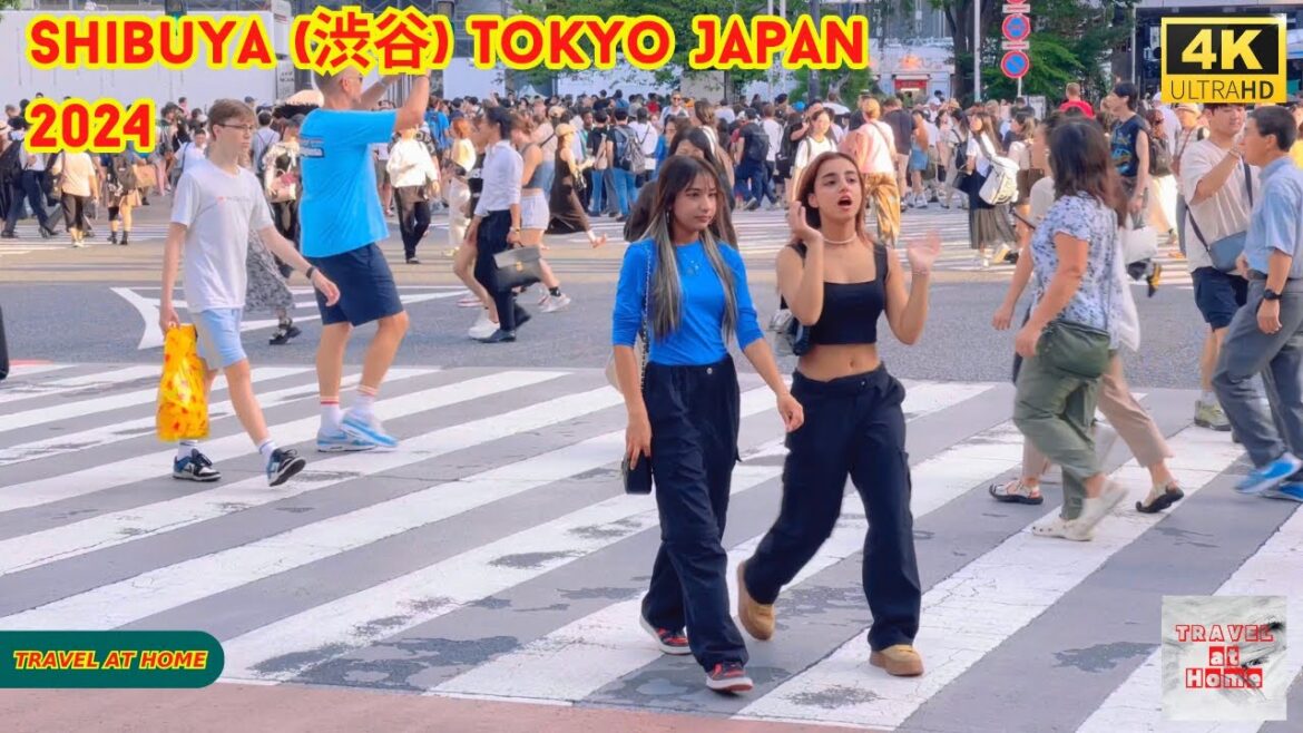 4k hdr Japan travel 2024 | Walk in Shibuya (渋谷) Tokyo Japan | Relaxing Natural City ambience 4k hdr Japan travel 2024 | Walk in Shibuya (渋谷) Tokyo Japan | Relaxing Natural City ambience