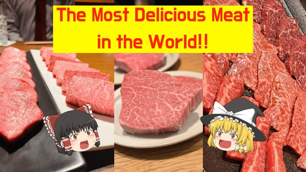 【Japanese Yakiniku】Why is Wagyu Beef so delicious!? Yakiniku is Proud Food of Japan!!