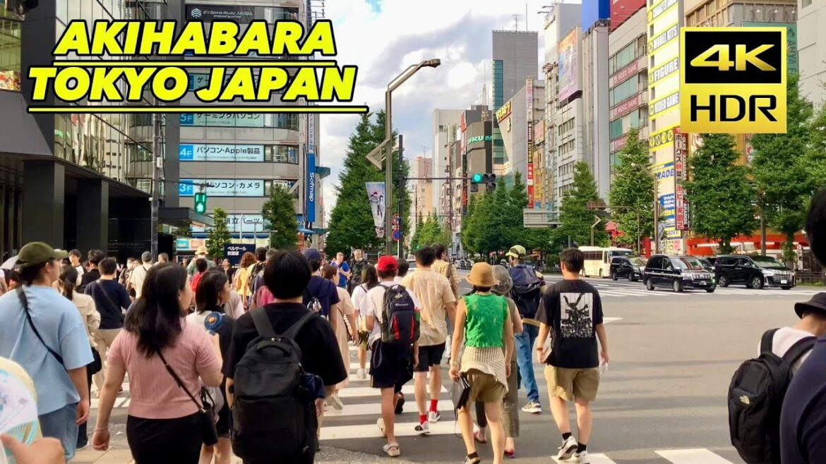 [4K] Akihabara WALKING Tour || Electric Town in Tokyo || 秋葉原電気街 || Japan ||