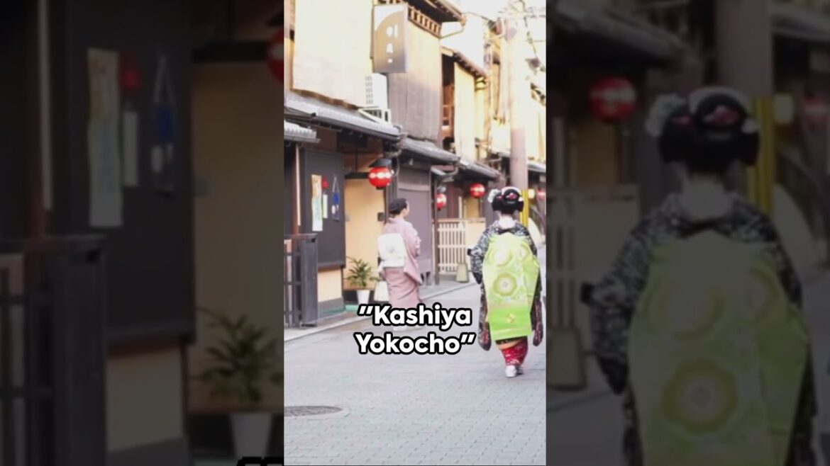 Places you must visit in Japan. Must visit destinations in Japan. Japan travel tips.