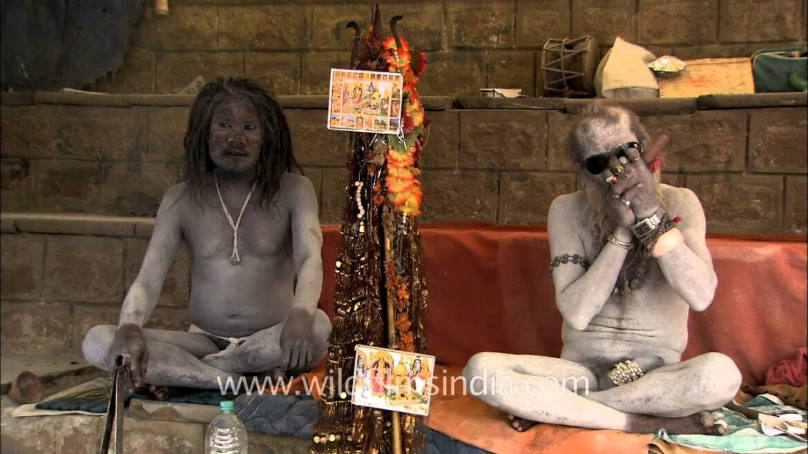 Naga Sadhu chilling over Chillum in Varanasi Naga Sadhu chilling over Chillum in Varanasi