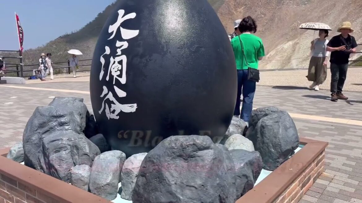 Best Route Travel in Hakone and Mt. Fuji Best Route Travel in Hakone and Mt. Fuji